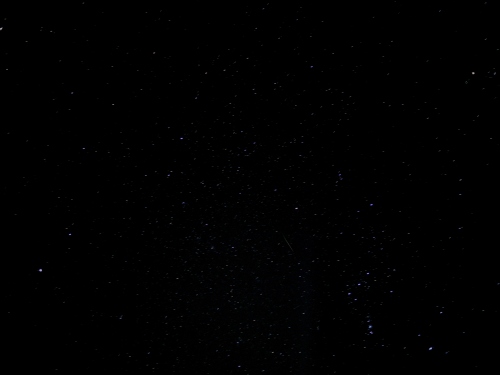 流れ星撮影成功