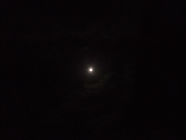IMGP1328.jpg