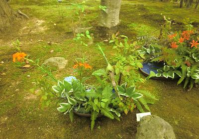 円通院みんなの花展b