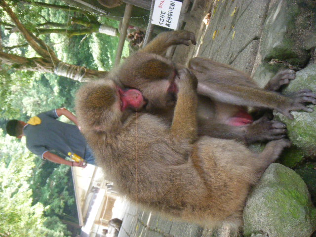 仲のいい姉弟 (4).JPG