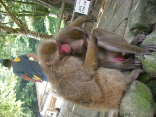 仲のいい姉弟 (4).JPG