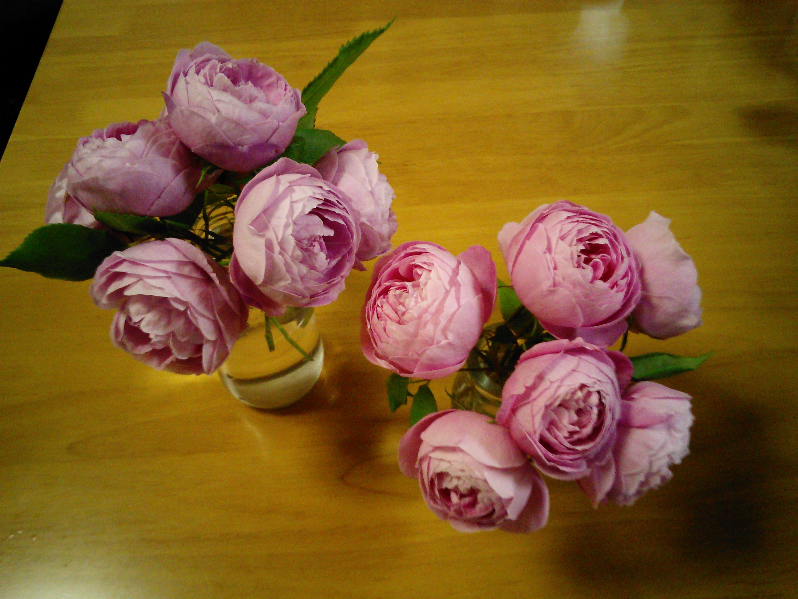 IMG_20140505_125009.jpg