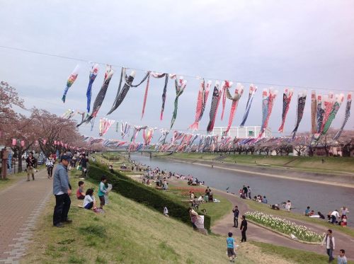 釈迦堂川の鯉のぼり.jpg