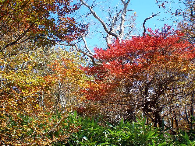 091013mtjkouyou2.jpg