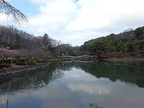 薬師池2016年3月8日.jpg