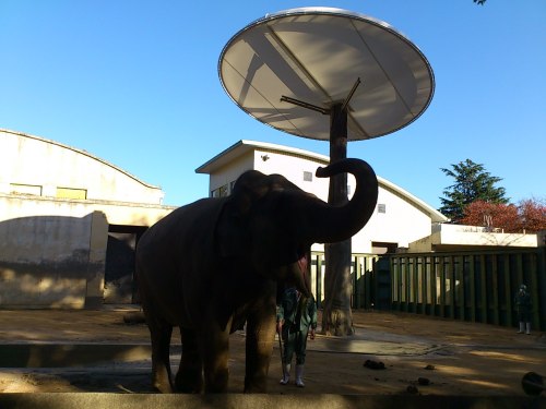 20121125王子動物園 004.jpg