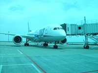 97.jpg