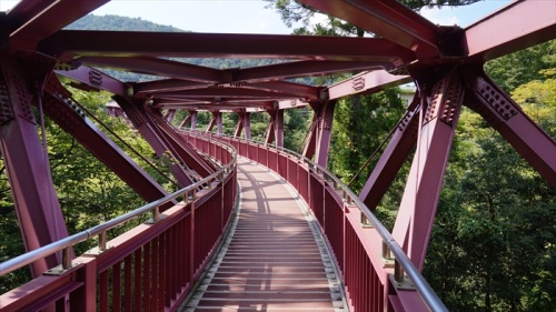 20150915 13013501.jpg