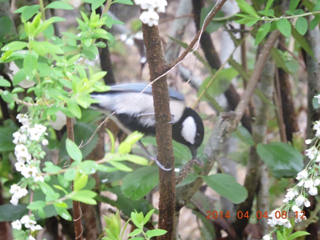 DSCN0151-1.jpg