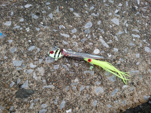 showPhoto (640×480)