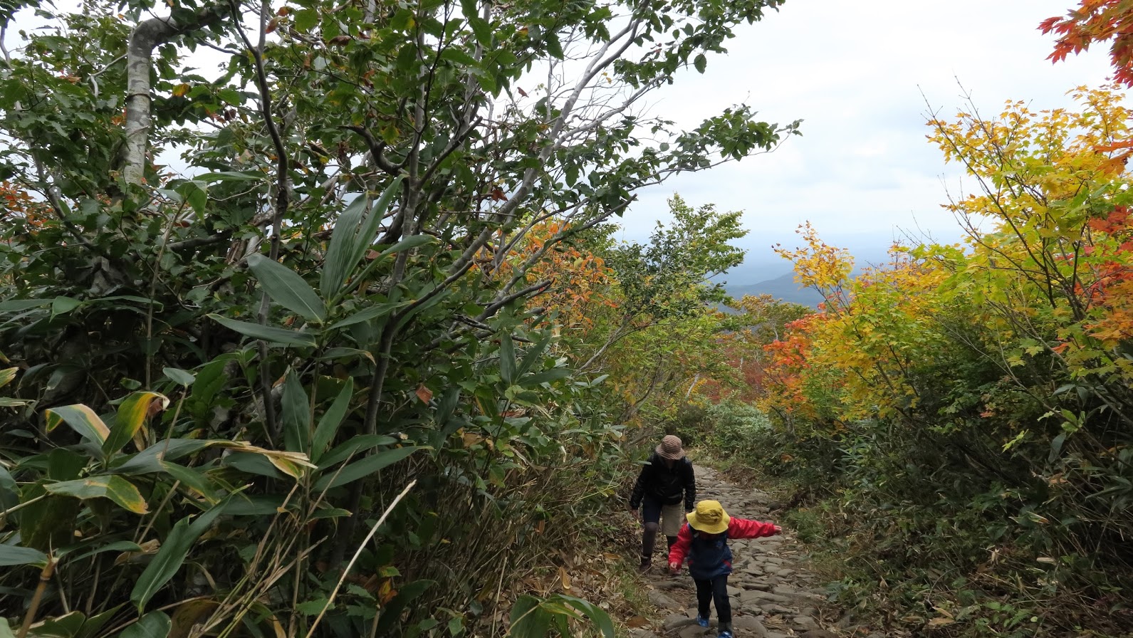 IMG_40962016栗駒山.JPG