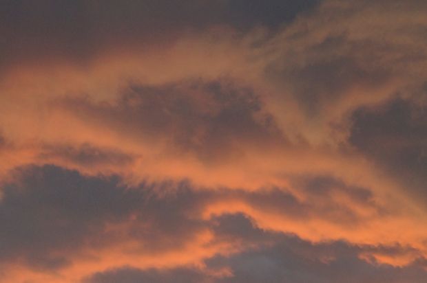 _DSC3481.JPG