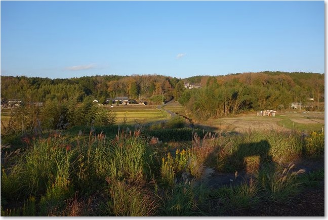 77ホームからの景色