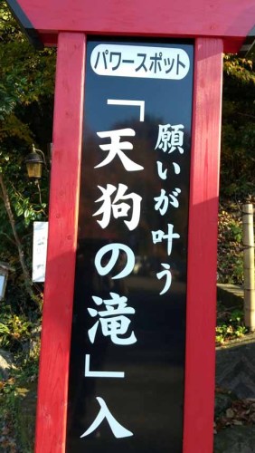 九酔渓天狗の滝 (3).JPG