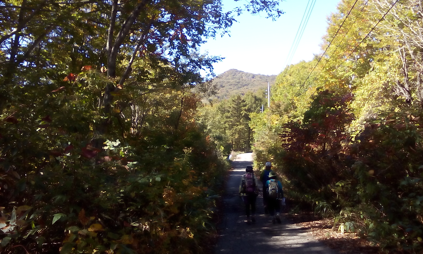 IMG_20161015_102651.jpg