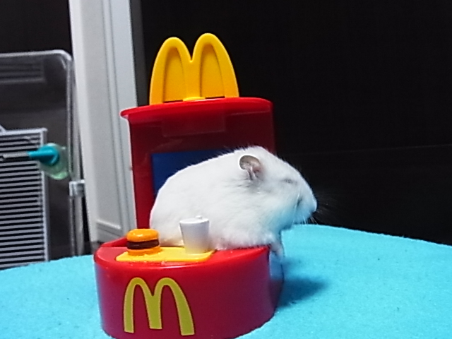 2014_06150851.JPG