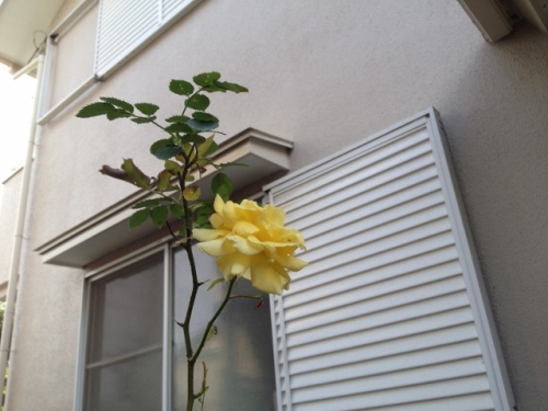 IMG_9302 (640x480).jpg