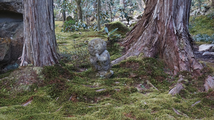 20160323 15460301.JPG