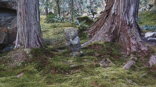 20160323 15460301.JPG