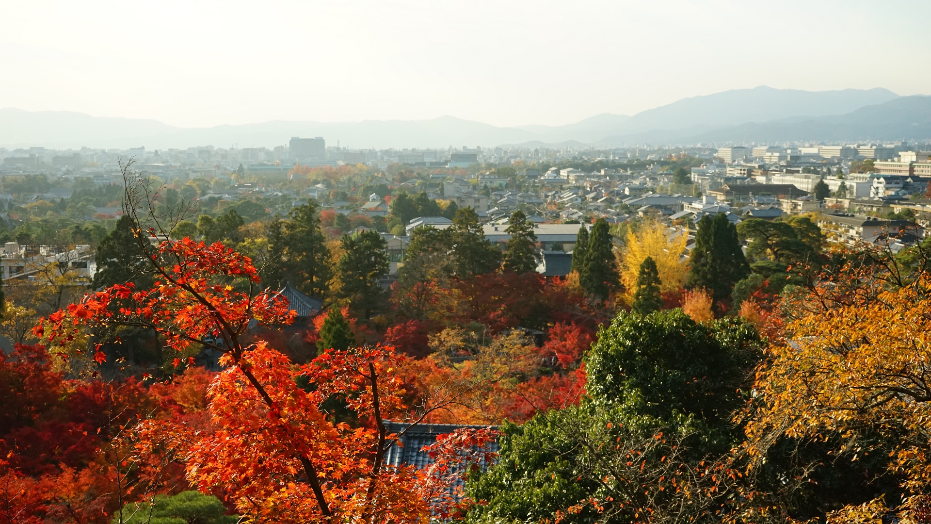 永観堂　山頂から京都市街　紅葉.jpg