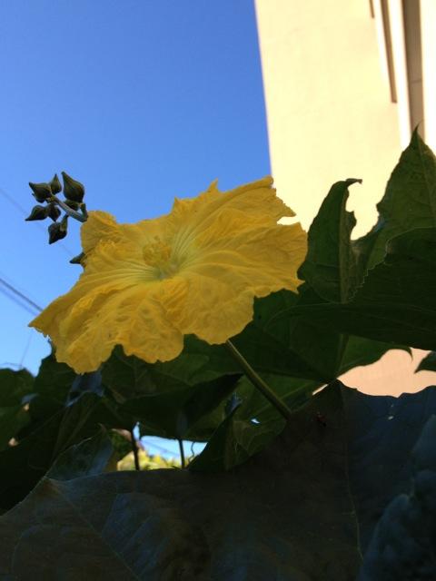 201208280753_0128_iphone.jpg