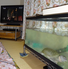 DSC01833.1.jpg