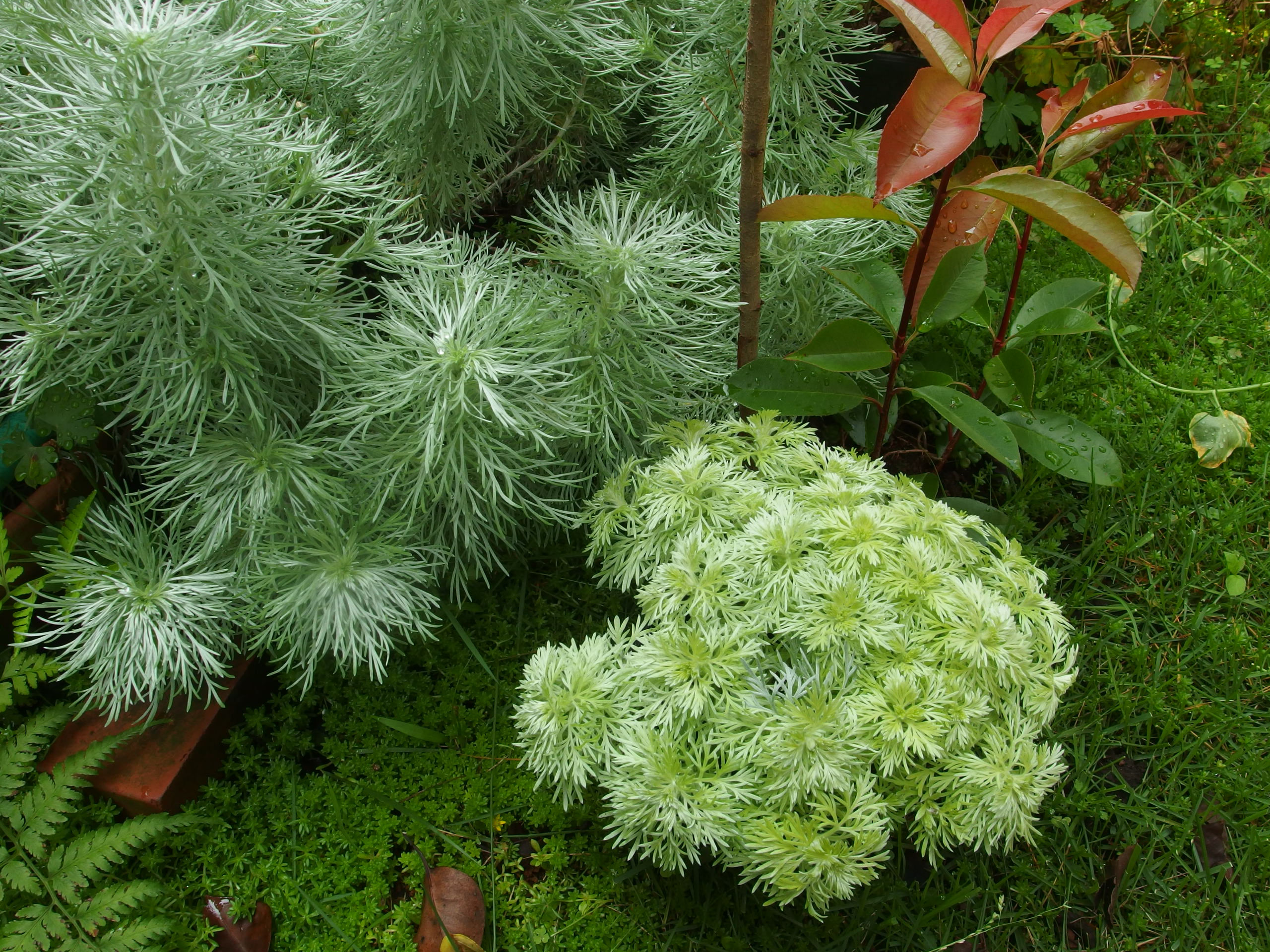 2015-06-24 08.40.04.jpg