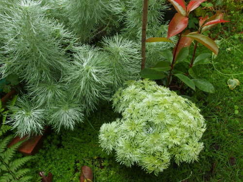 2015-06-24 08.40.04.jpg