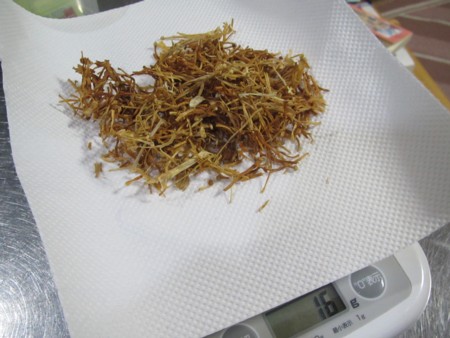 エノキダケ (9).JPG