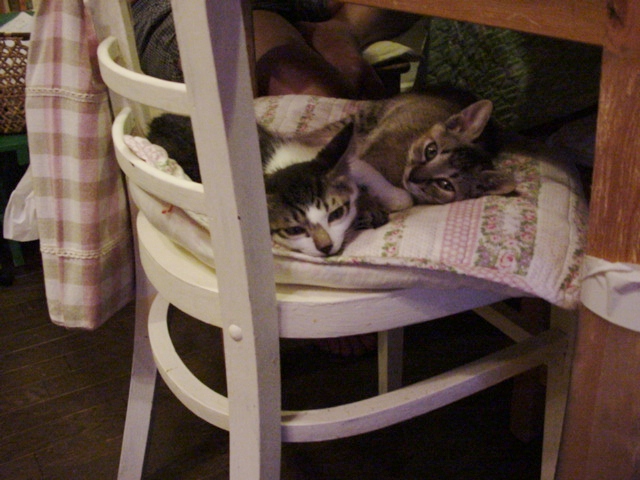 DSC09056.JPG