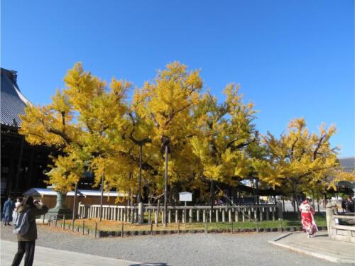 西本願寺 (10).jpg