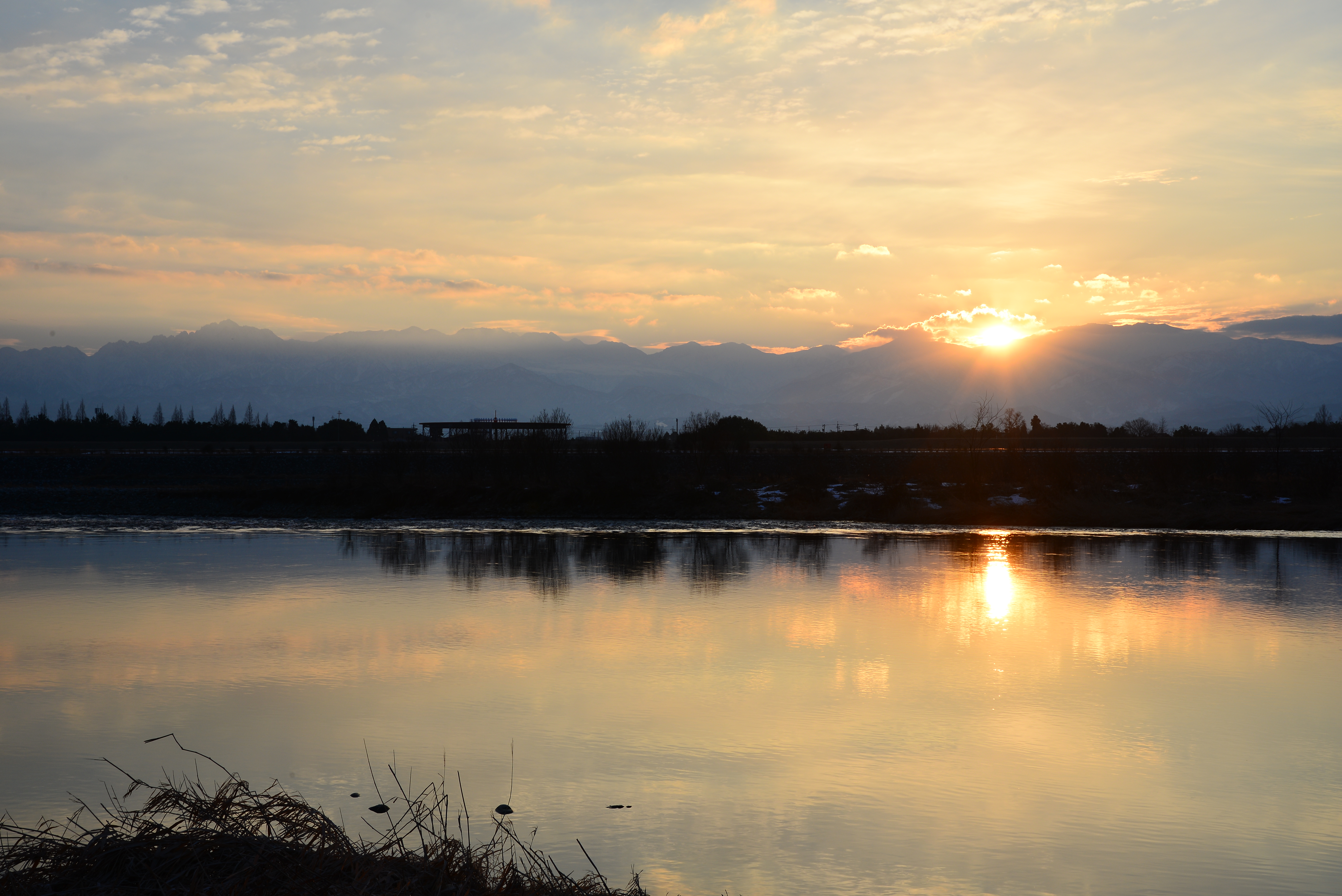 DSC_7661.JPG