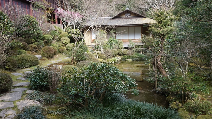 20160323 14284201.JPG