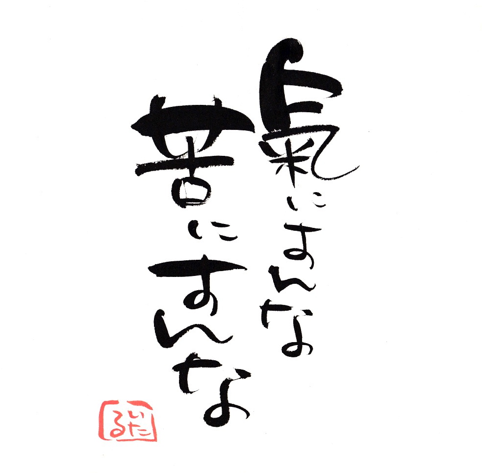 氣にすんな　苦にすんな.jpg
