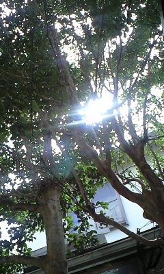 131011_1212~0001.jpg