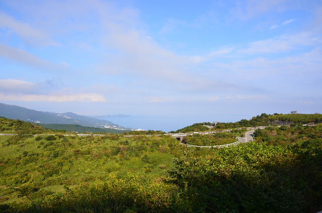 DSC_4327.JPG