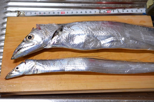 showPhoto (640×426)