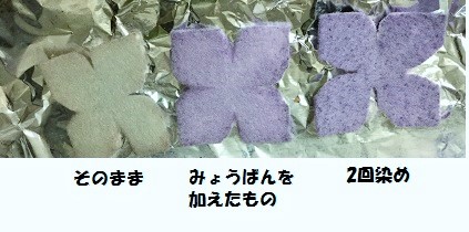 紫陽花718.JPG