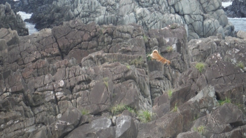 DSCF7295 (640x360).jpg