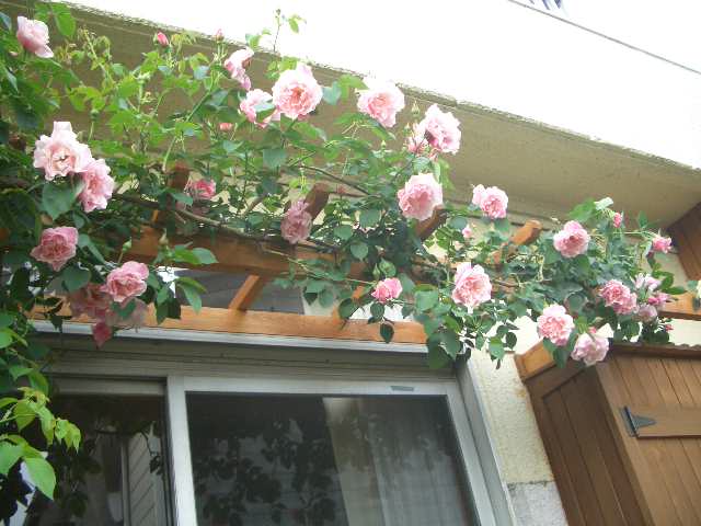 CIMG9453.JPG