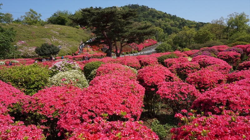 20150426 13315401.JPG