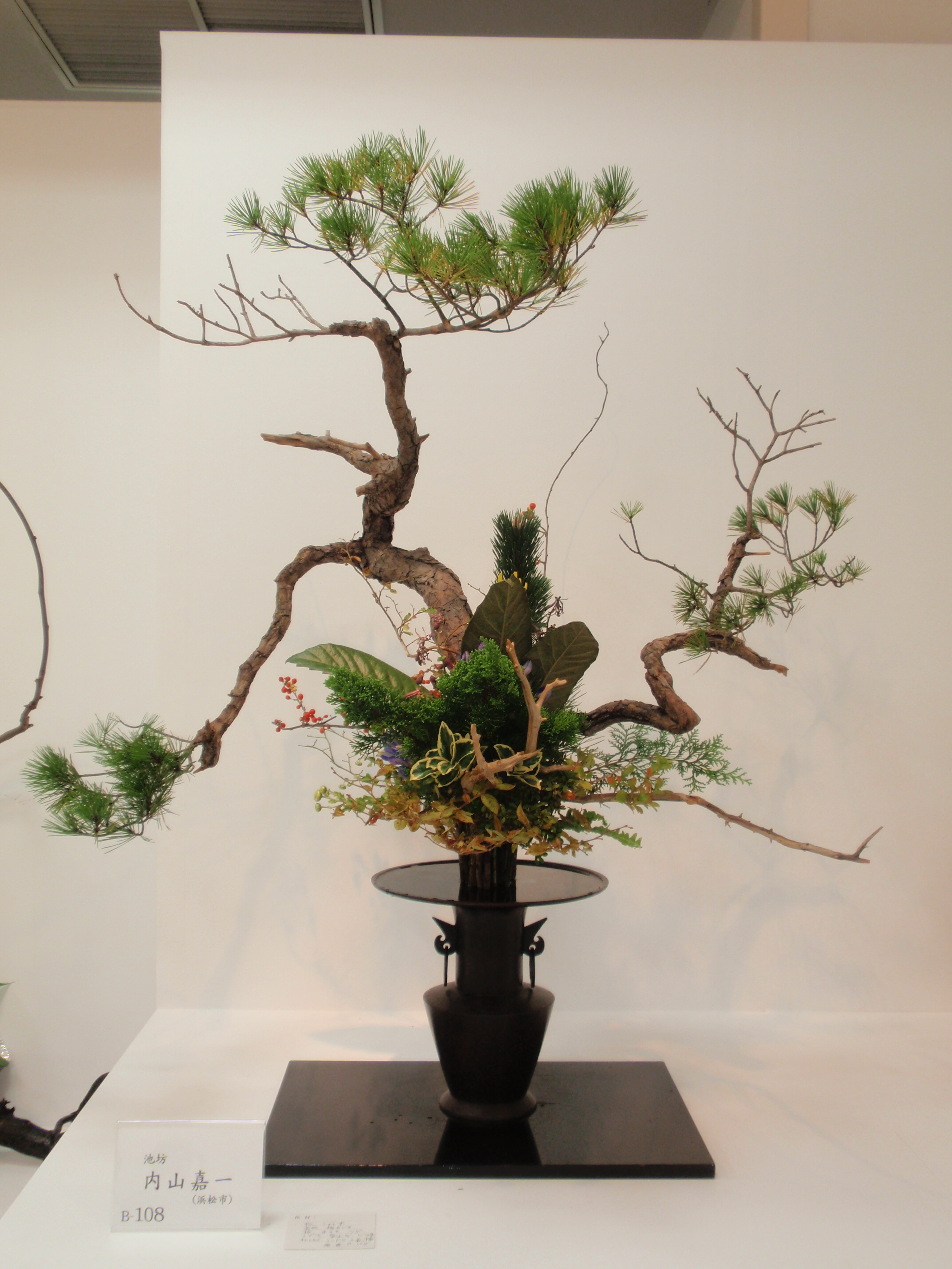 PA230239.JPG