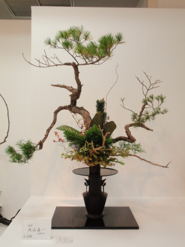 PA230239.JPG