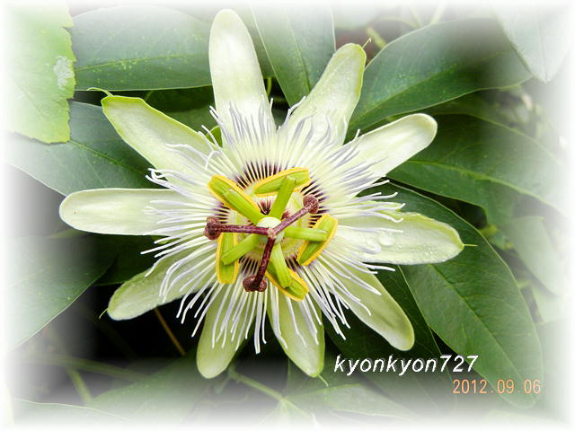 DSCN8822.jpg