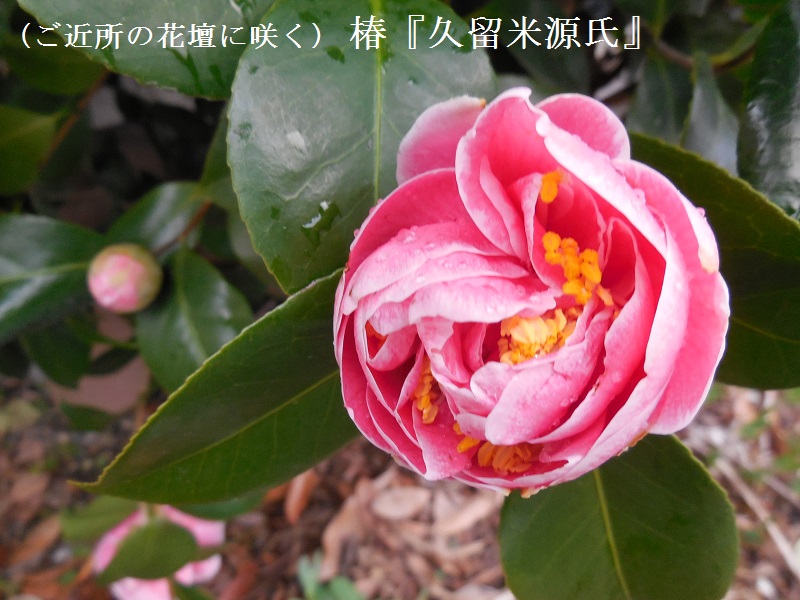 DSCN3980.JPG
