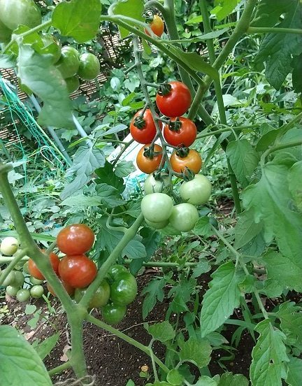 DSC_3804.JPG
