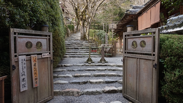 20160323 14523901.JPG