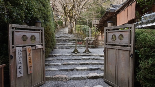 20160323 14523901.JPG