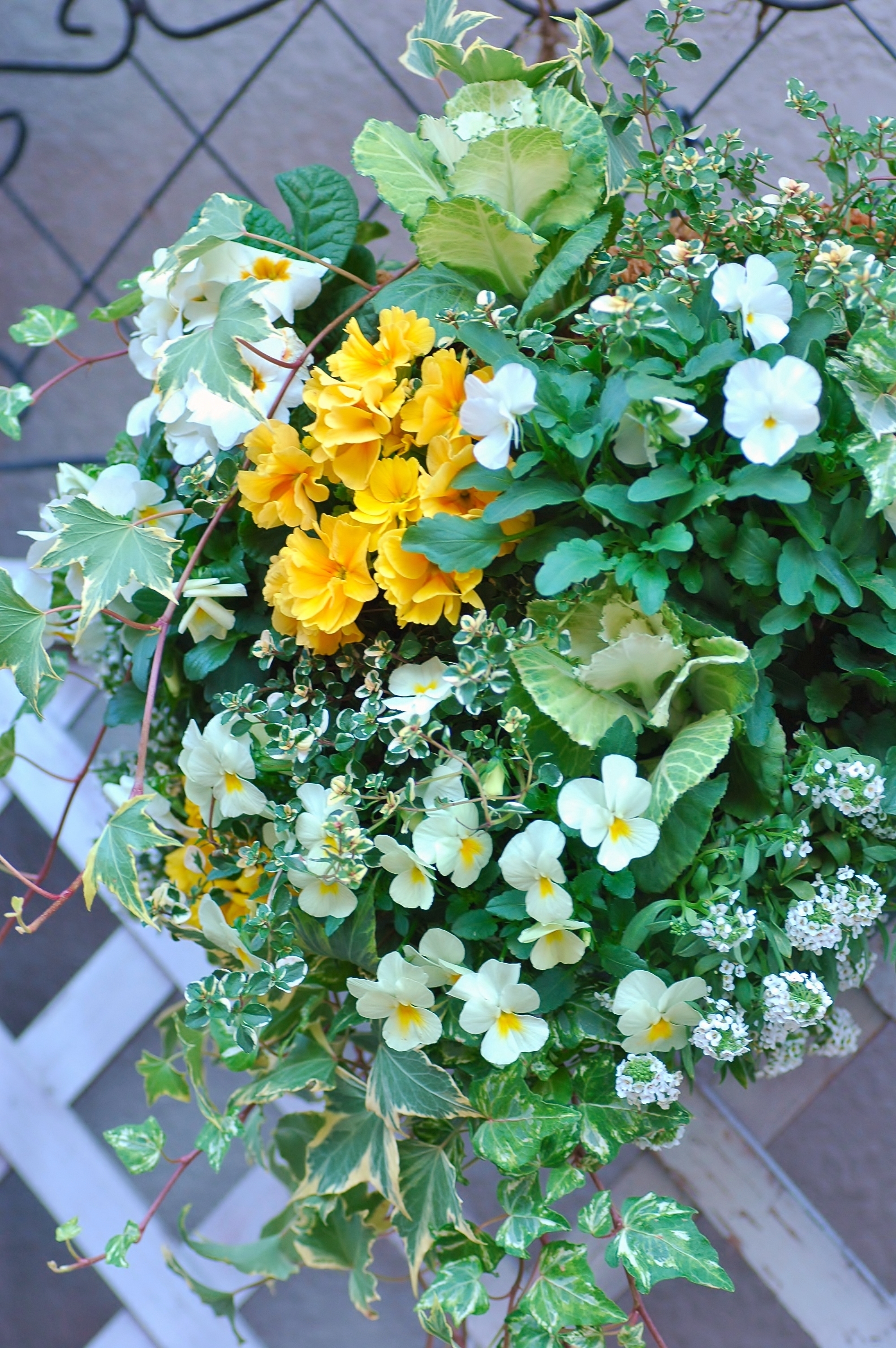 DSC_0610 - コピー.JPG