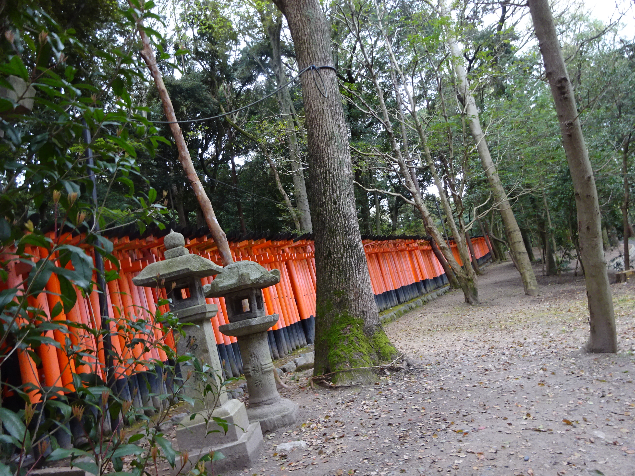 伏見稲荷大社  (10).JPG